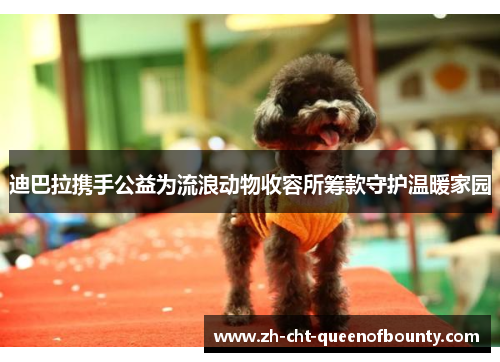 迪巴拉携手公益为流浪动物收容所筹款守护温暖家园 迪巴拉携手公益为流浪动物收容所筹款守护温暖家园