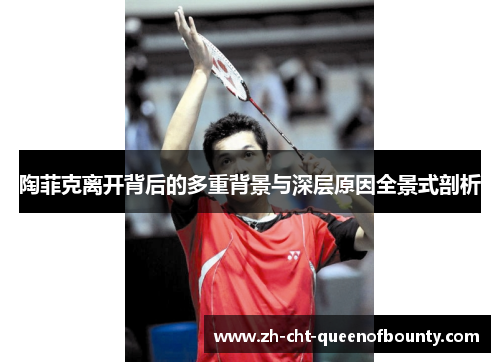 陶菲克离开背后的多重背景与深层原因全景式剖析