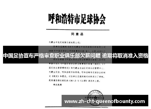 中国足协宣布严格审查职业俱乐部欠薪问题 逾期将取消准入资格